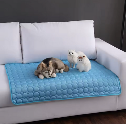 Hund Kühlmatte für Sommer – Kühlende Matte für Hunde & Katzen