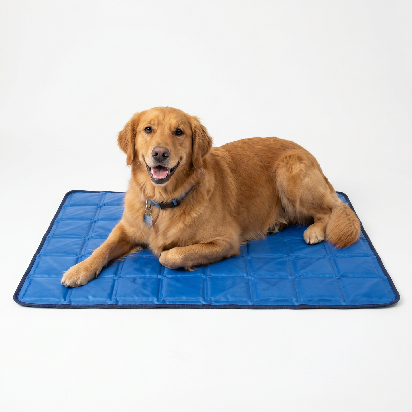 Hund Kühlmatte für Sommer – Kühlende Matte für Hunde & Katzen
